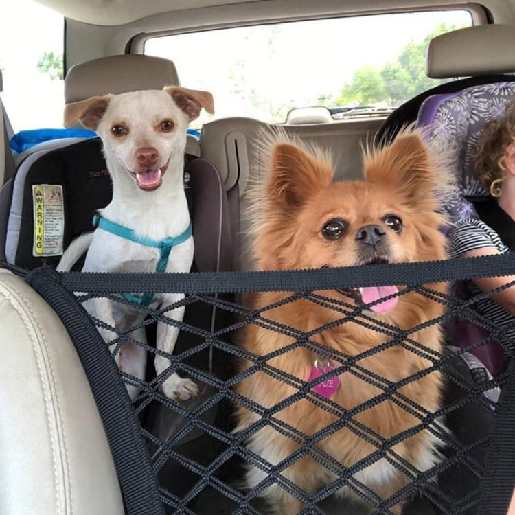 Gear Up for the Ride