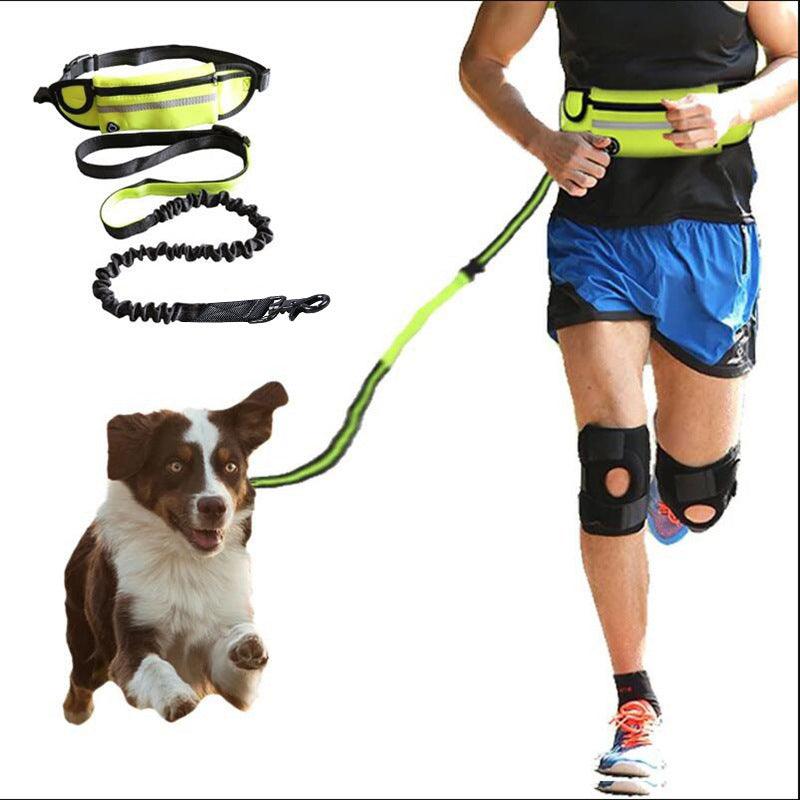 Ultimate Hands-Free Dog Leash Belt With Bungee Leash, Phone Pocket,