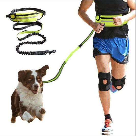 Ultimate Hands-Free Dog Leash Belt With Bungee Leash, Phone Pocket,