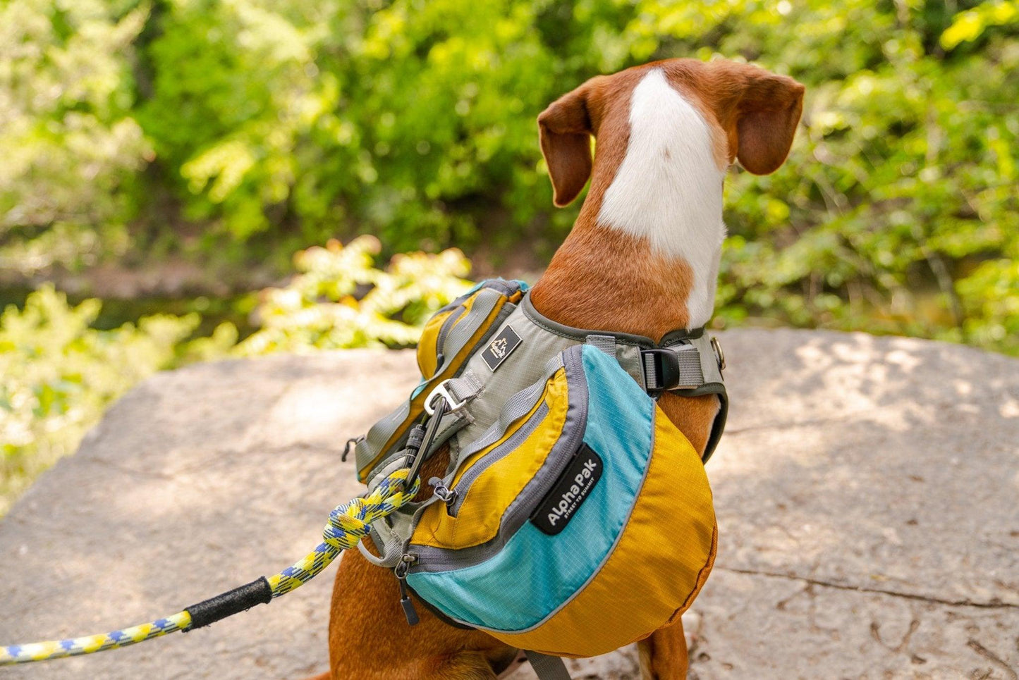 Adventurer Dog Pack - Small, Water-Resistant with EZ Fit Straps