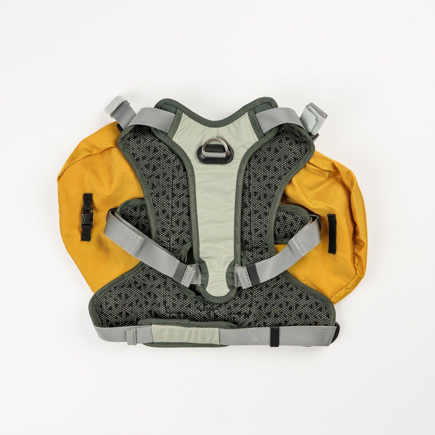 Adventurer Dog Pack - Small, Water-Resistant with EZ Fit Straps